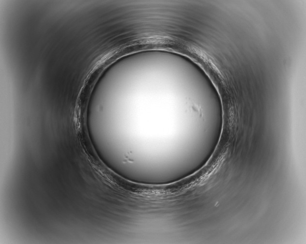 X0000094080970200711021510