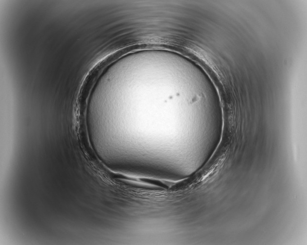 X0000094080971200711021510