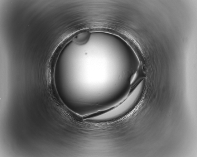 X0000094080973200711021510