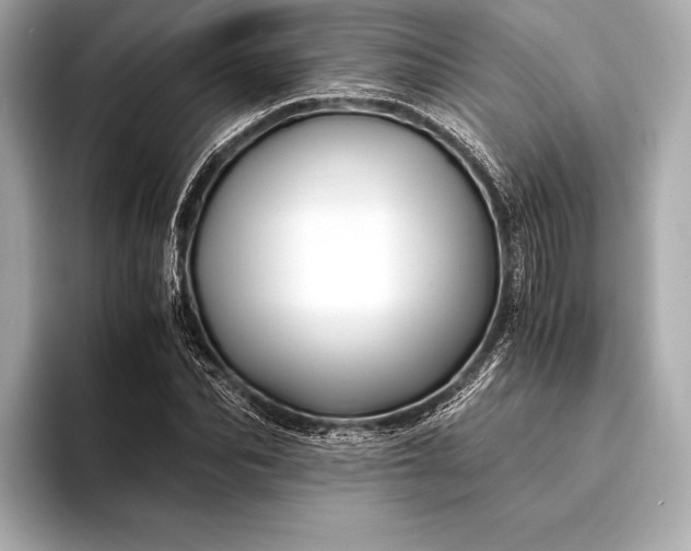 X0000094080974200711021510