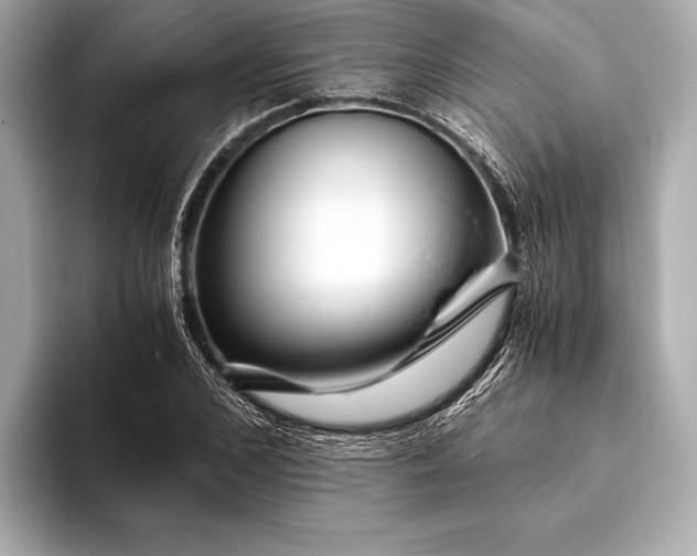 X0000094080976200711021510