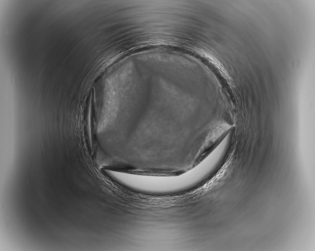 X0000094080977200711021510