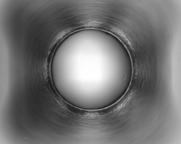 X0000094080978200711021510