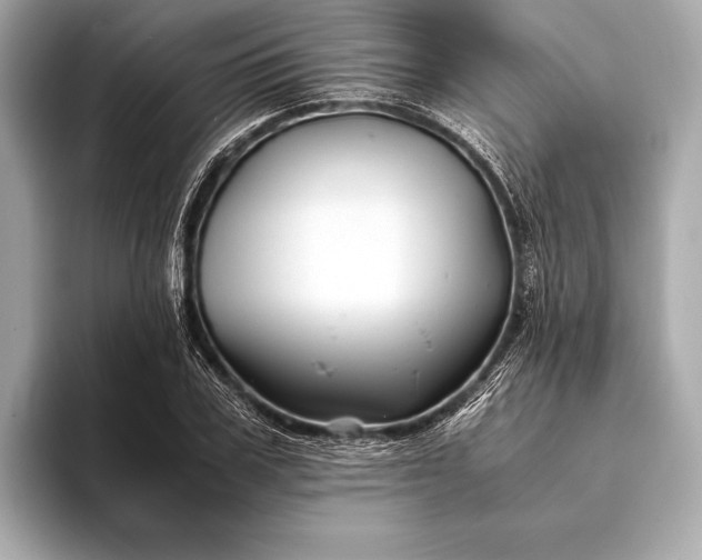 X0000094080979200711021510