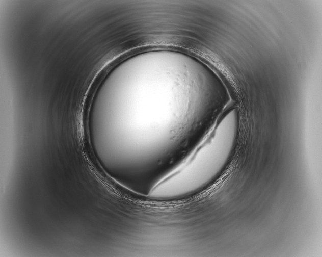 X0000094080980200711021510