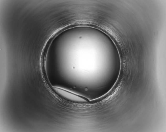 X0000094080981200711021510