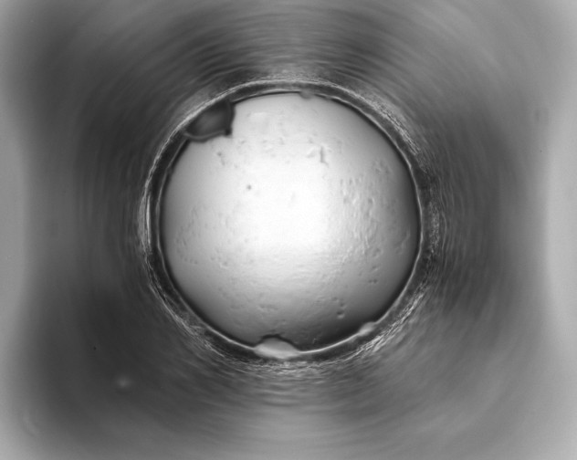 X0000094080982200711021510