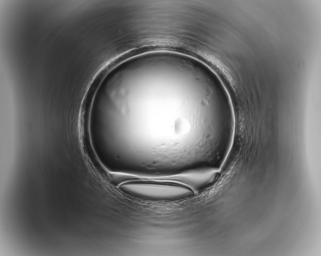 X0000094080983200711021510