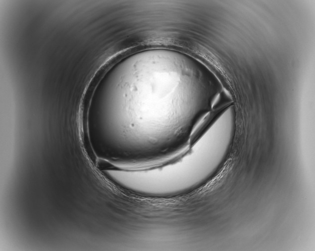 X0000094080984200711021510