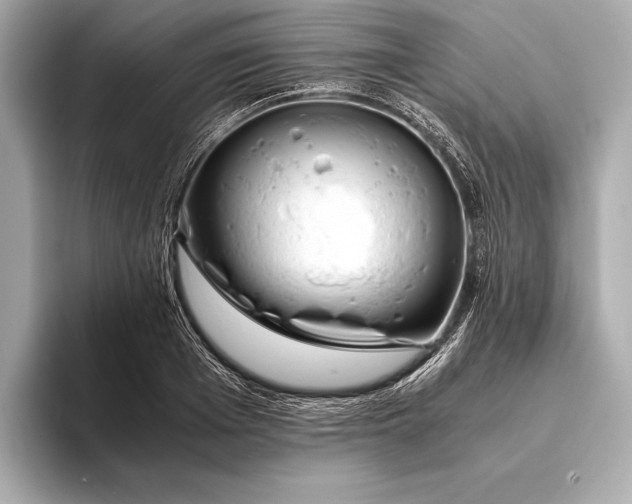 X0000094080985200711021510