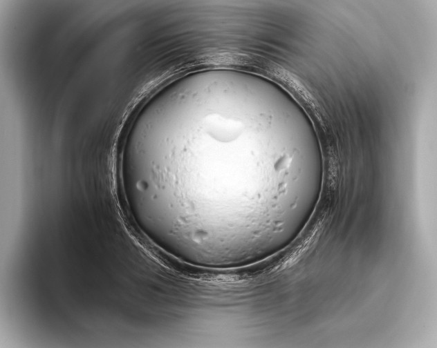 X0000094080986200711021510