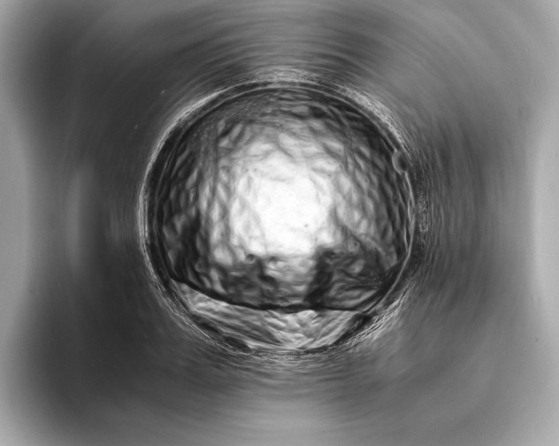 X0000094080987200711021510