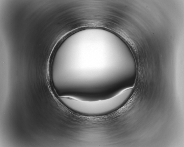 X0000094080988200711021510