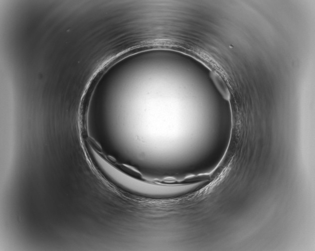 X0000094080989200711021510