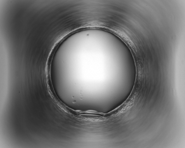 X0000094080990200711021510