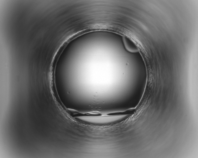 X0000094080992200711021510