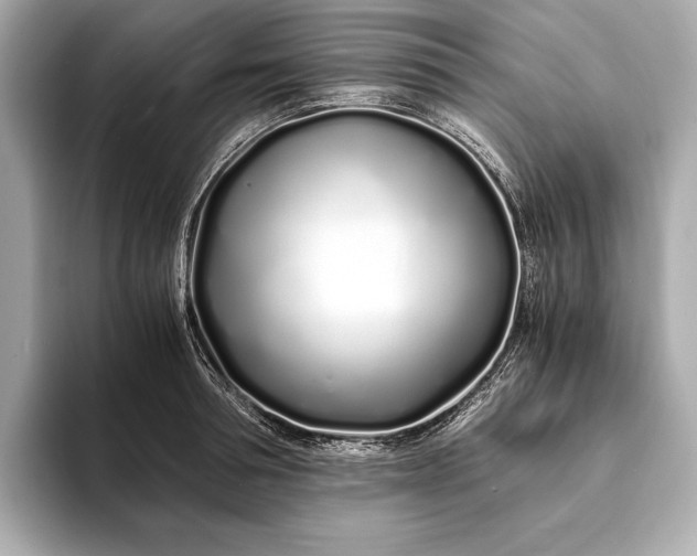 X0000094080994200711021510