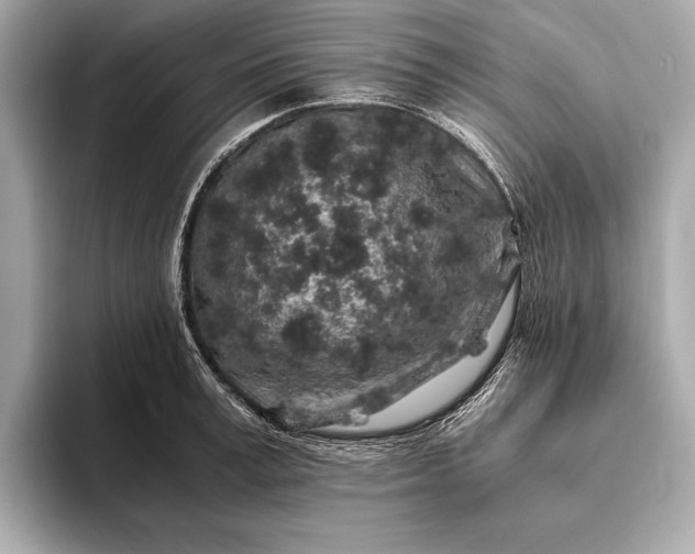 X0000094080995200711021510