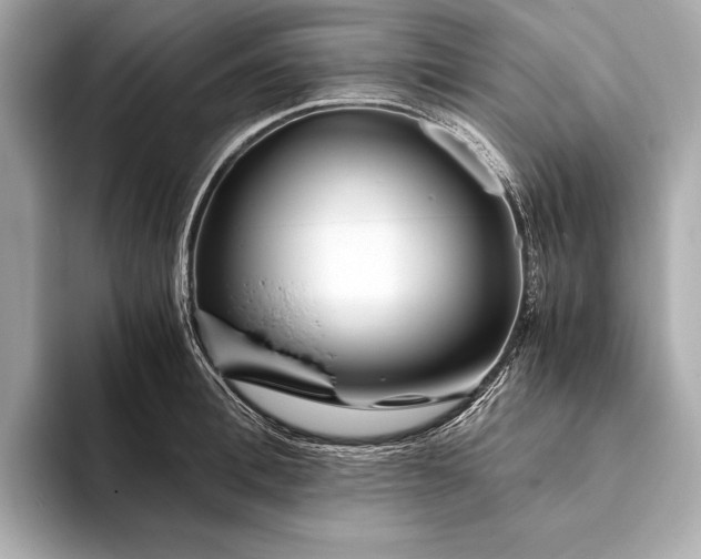 X0000094080996200711021510