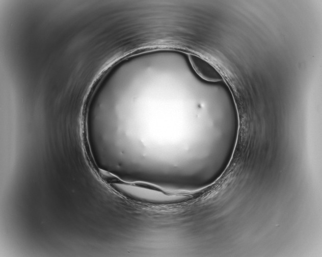 X0000094080998200711021510