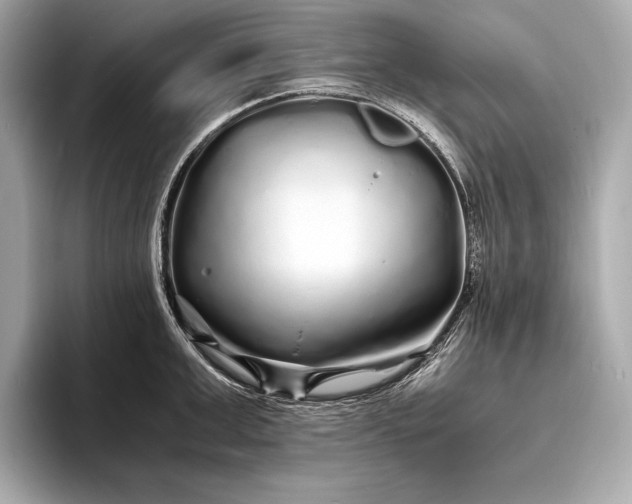 X0000094080999200711021510