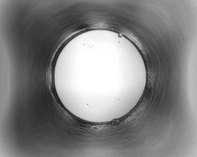 X0000094081000200711021510