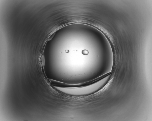 X0000094081001200711021510