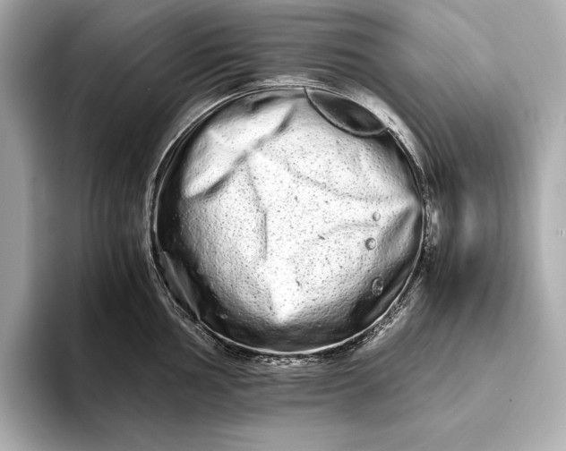 X0000094081002200711021510