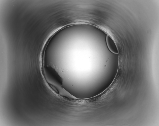 X0000094081003200711021510