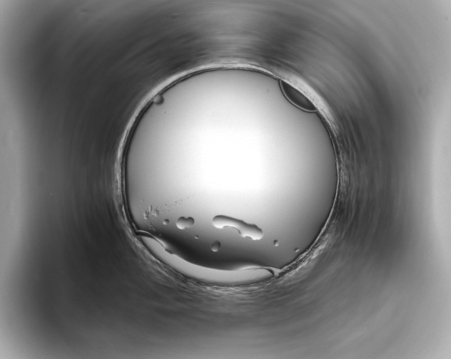 X0000094081004200711021510