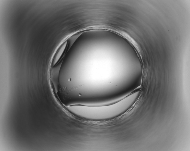 X0000094081005200711021510