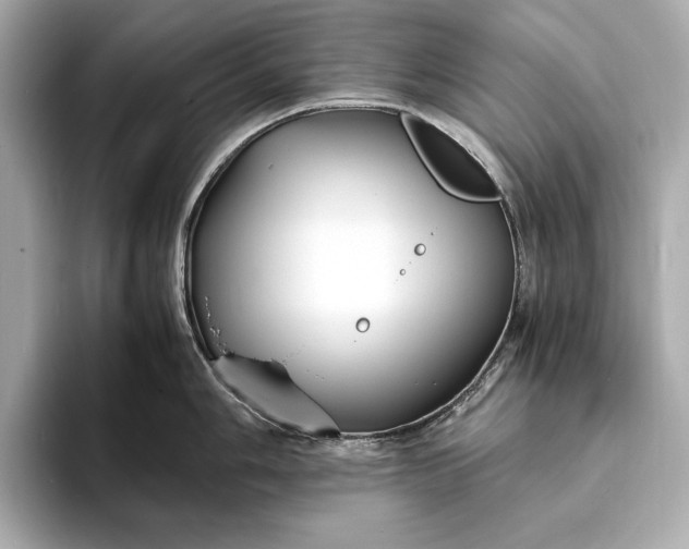 X0000094081006200711021510