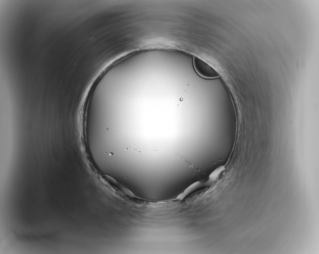 X0000094081008200711021510