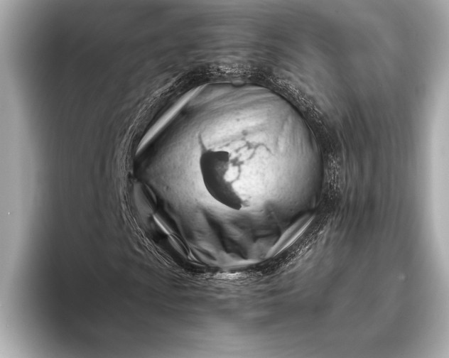 X0000094081009200711021509