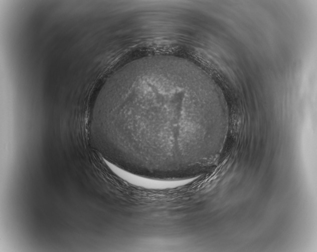 X0000094081010200711021509