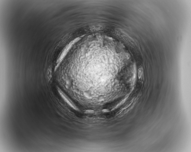 X0000094081011200711021509