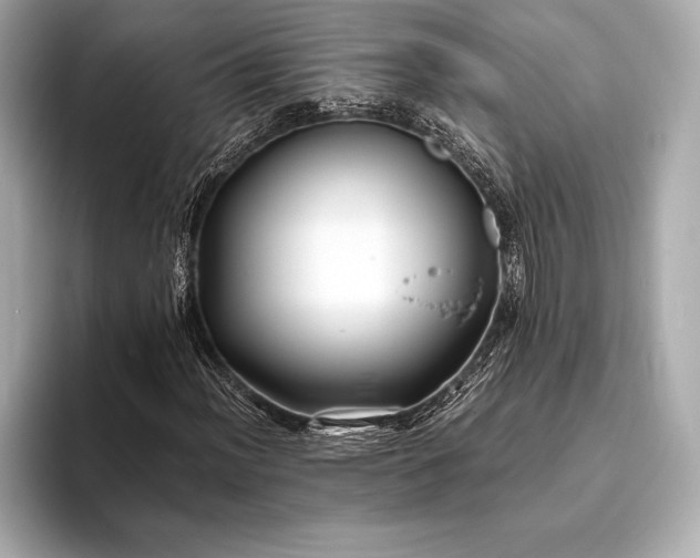 X0000094081012200711021509