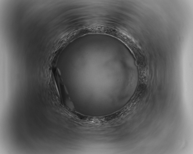 X0000094081013200711021509