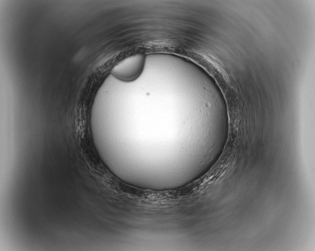 X0000094081015200711021509