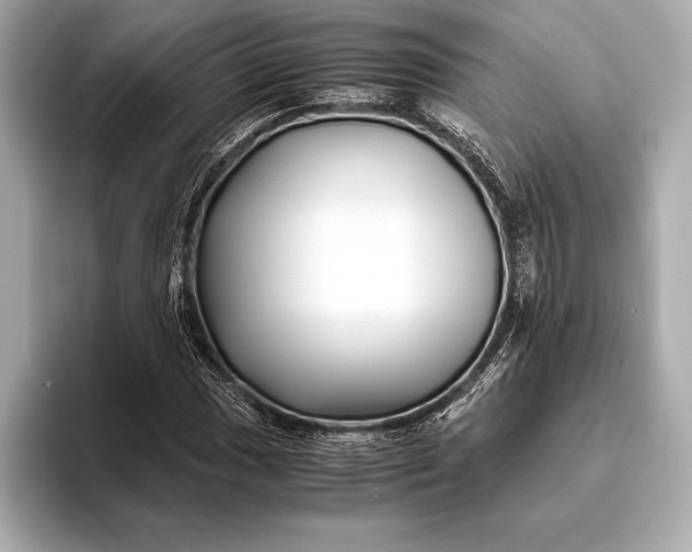 X0000094081017200711021509