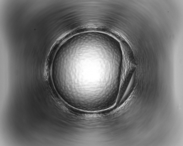 X0000094081018200711021509