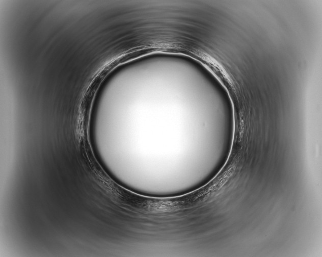 X0000094081019200711021509