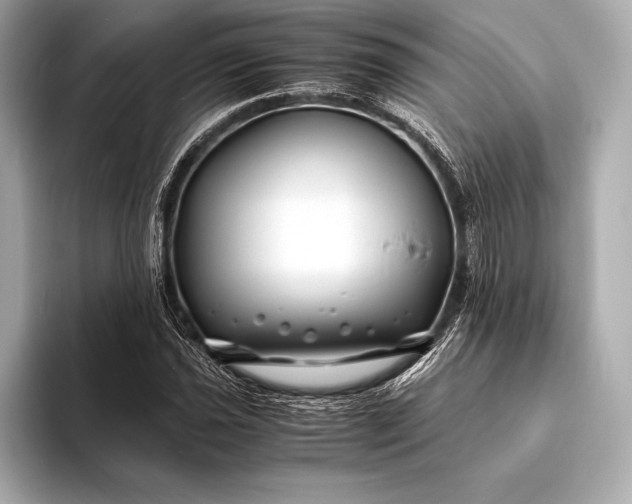 X0000094081021200711021509