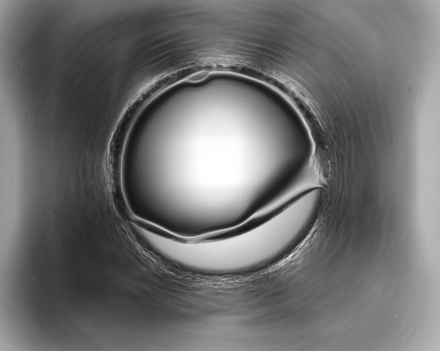 X0000094081022200711021509