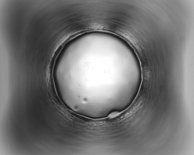 X0000094081023200711021509