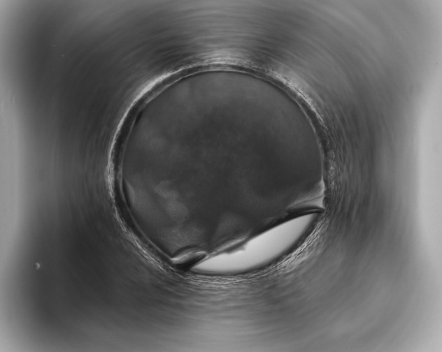 X0000094081024200711021509