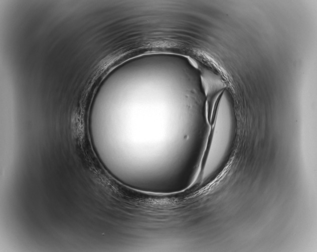 X0000094081025200711021509