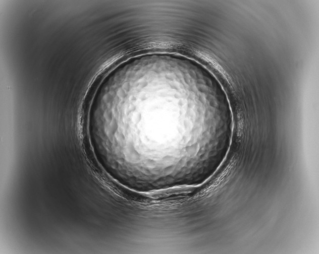 X0000094081026200711021509