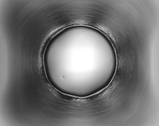 X0000094081027200711021509