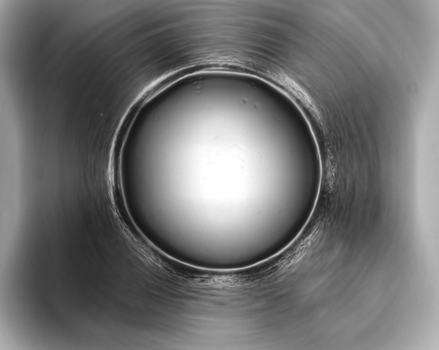 X0000094081028200711021509